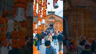 केदारनाथ बाबा🙏🔱☘️#shorts #ytshots #ytshortsindia #kedarnathtemple #kedarnath #kedarnathdham #travel