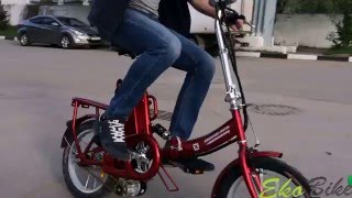 Электровелосипед Eko-Bike 308 тест-драйв