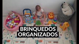 Como manter os brinquedos organizados