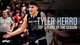 TYLER HERRO IS A BORN PLAYMAKER KENTUCKY WILDCATS COMMIT 🎯 | TOP 5 PLAYS OF THE SEASON | Mars Reel