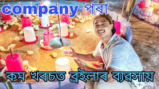 মাত্ৰ 45000 invest কৰি ব্ৰইলাৰ ব্যৱসায় আৰম্ভ কৰিব পাৰিব