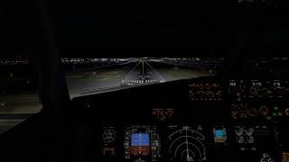 X-Plane 11 | KSFO B738 Night Landing