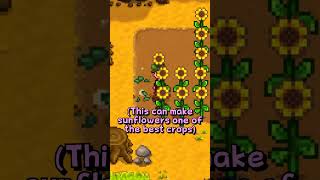 Sunflowers are secretly a GREAT Stardew Valley crop