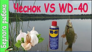 WD40 VS Чеснок на карася, что лучше ? Улучшают клев на рыбалке?