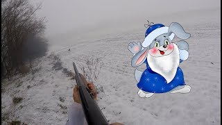 Охота на зайца. Русак уходящего года. Hunting for hares .Happy New Year!