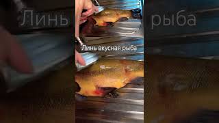 Линь вкусная и полезная рыба#линь#вкуснаяеда #cooking