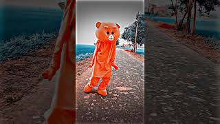 Chham Payal Baje teddy bear dance🤣#shorts #viral #youtubeshorts