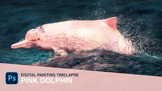 Drawing Pink Dolphin | Digital Painting Timelapse