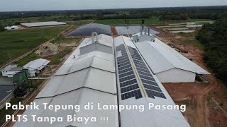 CV. Gunung Mas Putra Kencana Pabrik Tepung Lampung Pasang PLTS