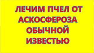 ЛЕЧИМ ПЧЕЛ ОТ АСКОСФЕРОЗА ОБЫЧНОЙ ИЗВЕСТЬЮ