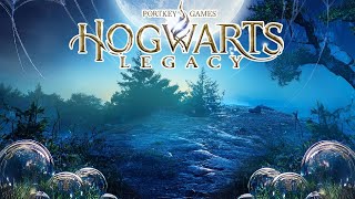 0162 Hogwarts Legacy 🏰 Auf der Suche nach dem Relikt 🏰 Let's Play