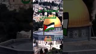 سلامٌ لأرض خُلقت للسلام، وما رأت يومًا سلامًا | اصمُدي يا فلسطين 🇵🇸❤️❤️🇵🇸 #shorts