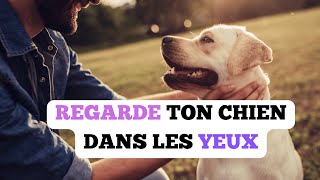 Pourquoi Regarder Son Chien dans les Yeux ?