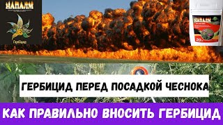 КАК ПРАВИЛЬНО ВНОСИТЬ ГЕРБИЦИДЫ ПЕРЕД ПОСАДКОЙ ЧЕСНОКА