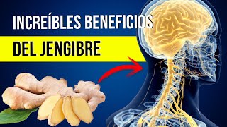 Cómo el Jengibre Puede Transformar Tu Salud: 5 Beneficios Comprobados