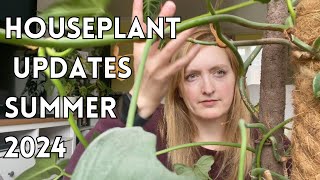 Plant Updates Summer 2024