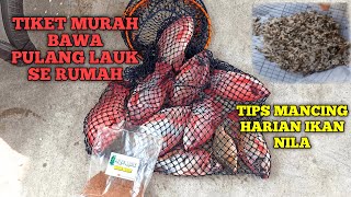 TIPS MANCING HARIAN IKAN NILA! TIKET MURAH BAWA PULANG LAUK UNTUK SE RUMAH