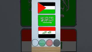 تصميم اعلام الدول العربية/Arab countries flags🌍 #رسم #palestin #shortvideo #فلسطين #shorts #السعودية