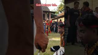 gak bahaya tah..ebeg ngesti suka sabar cigebret #ebeg #viral #cakilan