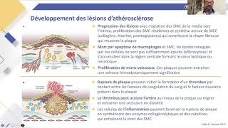 Lien entre dyslipidémie et athérosclérose : mécanismes et épidémiologie