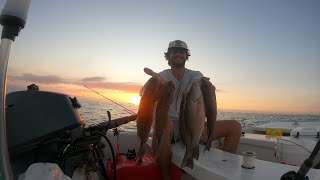 Mangrove Snapper Limit | Florida Saltwater Fishing | Florida Keys Fishing | Live Bait Fishing