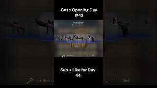 Opening a Case Until I Get a Knife Day #43