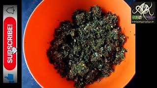 NO OIL 💓1Minute curry leaves thidir podi மிகுந்த சத்துடையகறிவேப்பிலை திடீர் பொடி(karivepaku podi)