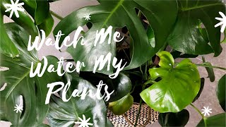 Watch Me Water | Plant Ma! | GatHouse Fitness [172]