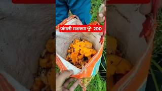 जंगली जबरदस्त  मशरूम🍄 | पहाडों की सब्जी | #viralreels #uttarakhand #pahadi #garhwali