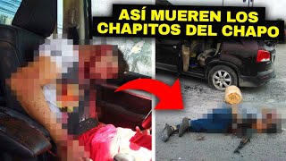 LOS CHAPITOS vs EE.UU: Así es la BRUTAL guerra para EXTERMINAR a los hijos del CHAPO GUZMAN