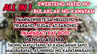 All in One! Pampaswerteng Hatid ng Bulaklak ng Kawayan