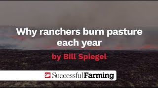 Why ranchers burn pasture each year