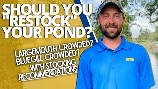 Should You "Restock" Your Pond? | Fish Management Tutorial