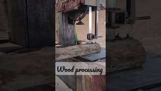 wood cutting factory #sawmill