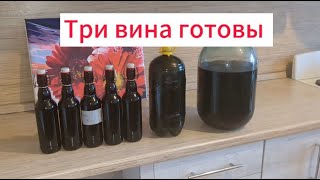 Вино из винограда Маркетт | Часть 3 | Запуск брожения, прессование, снятие с осадка, розлив Петната.