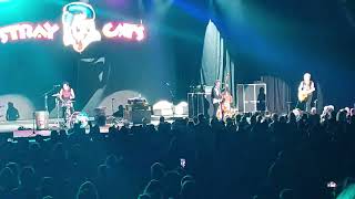 The Stray Cats - Rock This Town, Hard Rock Casino, NWI 8-10-24