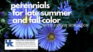 Perennials for Late Summer and Fall Color