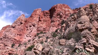 USA (2017) Day 4 Arizona: Montezuma Castle & Well, Verde Canyon Railroad