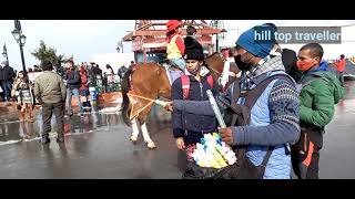 After Snowfall Journey from Kufri to Shimla Ridge/ Chharabra/ Mall road Shimla