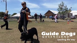 Spoon and Egg Game with a Guide Dog