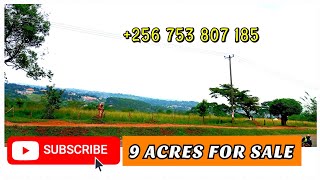 9 acres of land for sale at wabutungulu center zirobwe Uganda