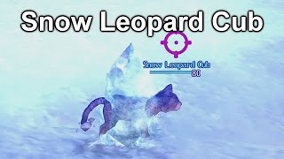 GW2 - Home Instance Snow Leopard Cub