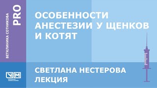 Особенности анестезии у щенков и котят