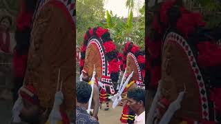 Pooram / തിറയാട്ടം#shortvideo