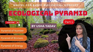 Ecological Pyramid Part 1 || #ecology || #csir || Usha Yadav || #bsc_3rd_year