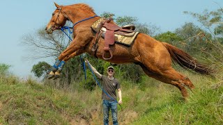 MECATE REINS-Why I Use Them! (The ULTIMATE trail riding reins)