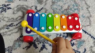 Here we go looby loo #xylophone