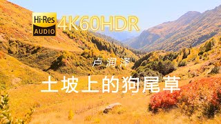 卢润泽-土坡上的狗尾草[4K60HDR-中文字幕]