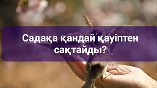 Садақа қандай қауіптен сақтайды?