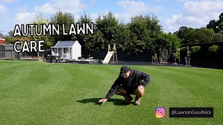 Autumn lawn care // mowing a curved lawn pattern